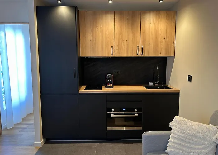 Cote - Elegant 3 Pieces, Wifi Et Climatisation * Nice